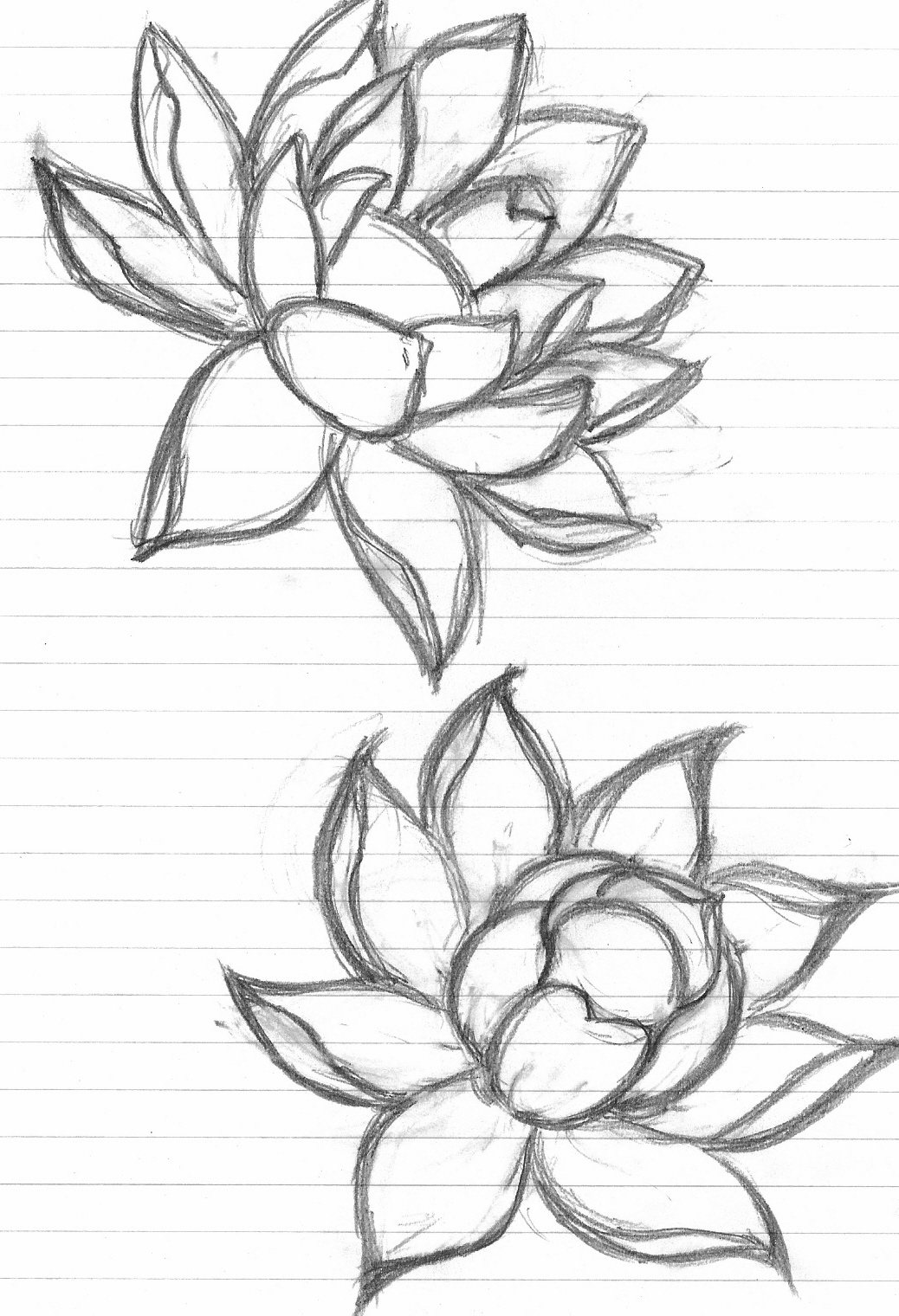 Flower sketch images easy